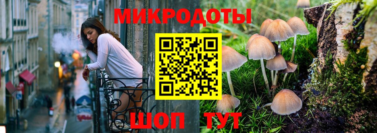 Зима  Псилоцибиновые грибы Psilocybine cubensis  Вход с VPN 